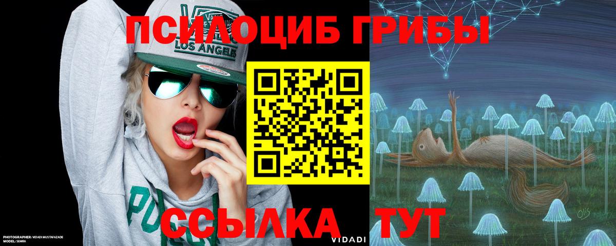 Галлюциногенные грибы MAGIC MUSHROOMS Красноперекопск