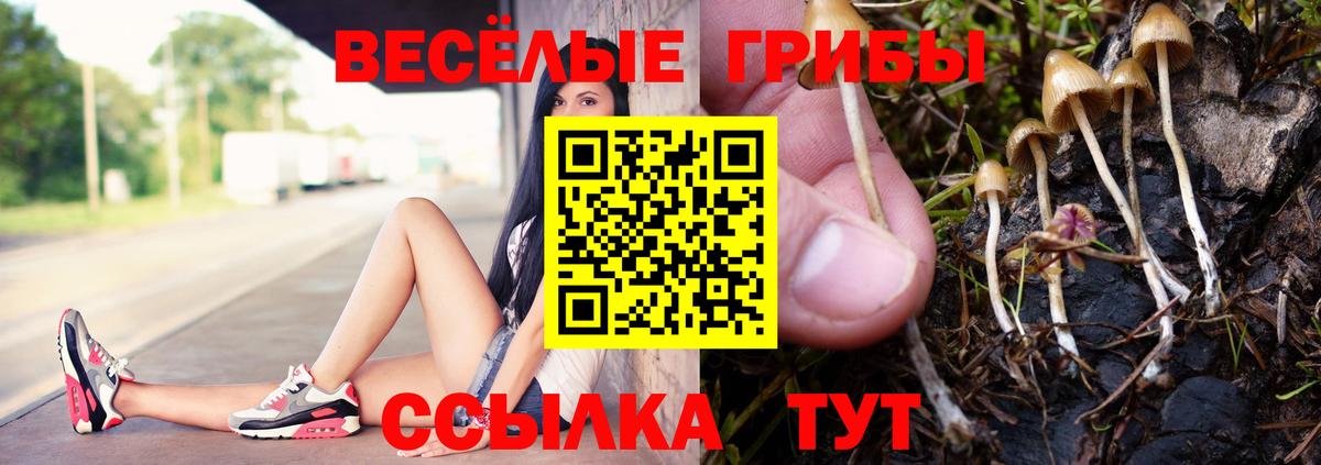 Псилоцибиновые грибы Psilocybine cubensis  Вход с VPN  магазин продажи наркотиков  Красноперекопск  Псилоцибиновые грибы мухоморы 